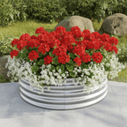 4ft Round Galvanized Steel Raised Garden Bed (2 - Pack) - Outdoor Home UpgradesFunctional Outdoor Problem - Solvers