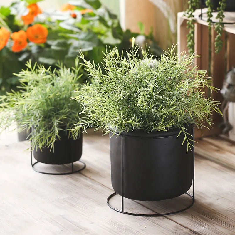 Decorative Succulent Planter with Iron Stand showcasing a medium-sized white pot hanging from a black iron frame.