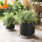 Decorative Succulent Planter with Iron Stand showcasing a medium-sized white pot hanging from a black iron frame.