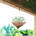 Crystal Teardrop: Hanging Borosilicate Hydroponic Planter - Outdoor Home Upgrades