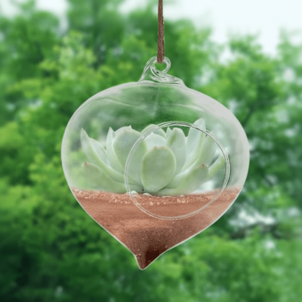 Crystal Teardrop: Hanging Borosilicate Hydroponic Planter - Outdoor Home Upgrades