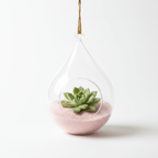 Crystal Teardrop: Hanging Borosilicate Hydroponic Planter - Outdoor Home Upgrades