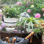 Egyptian Motif Tall Cement Planter - Outdoor Home Upgrades