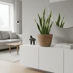 Premium Artisan Woven Grass Planter Basket (Eco - Luxe Edition) - Outdoor Home Upgrades